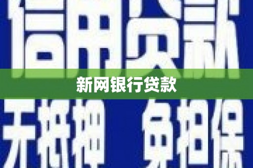 沿河新网银行贷款
