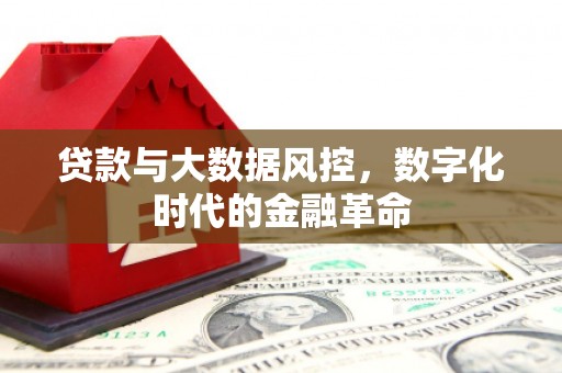 龙崎贷款与大数据风控，数字化时代的金融革命