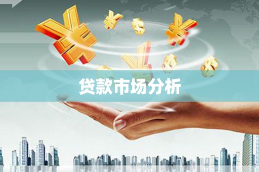 滨海贷款市场分析