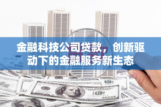 南充金融科技公司贷款，创新驱动下的金融服务新生态