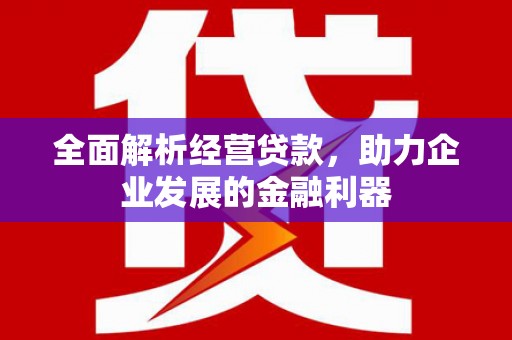 红星全面解析经营贷款，助力企业发展的金融利器
