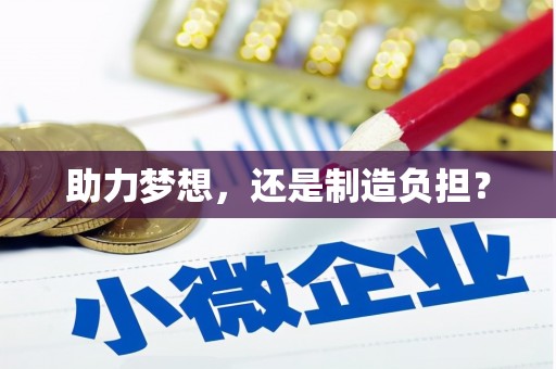 陆丰助力梦想，还是制造负担？