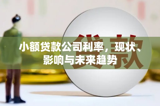 硚口小额贷款公司利率，现状、影响与未来趋势