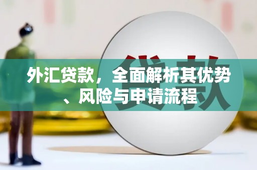 张家界外汇贷款，全面解析其优势、风险与申请流程