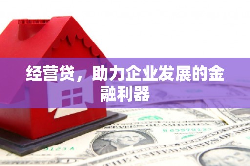 洋县经营贷，助力企业发展的金融利器