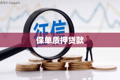 临漳保单质押贷款