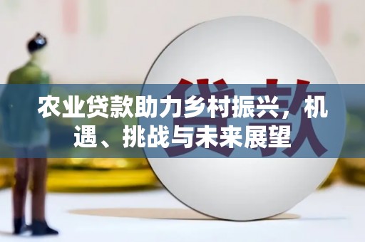 得荣农业贷款助力乡村振兴，机遇、挑战与未来展望