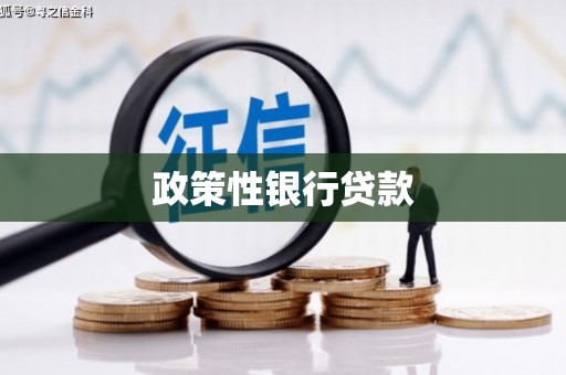 汪清政策性银行贷款