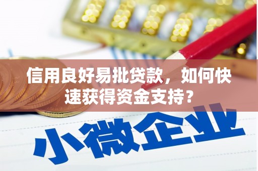 太和信用良好易批贷款，如何快速获得资金支持？