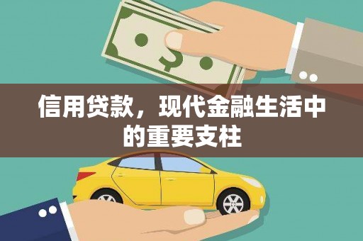 阳春信用贷款，现代金融生活中的重要支柱
