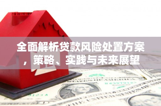 舟山新区全面解析贷款风险处置方案，策略、实践与未来展望