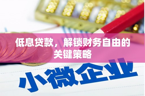 阿巴嘎旗低息贷款，解锁财务自由的关键策略