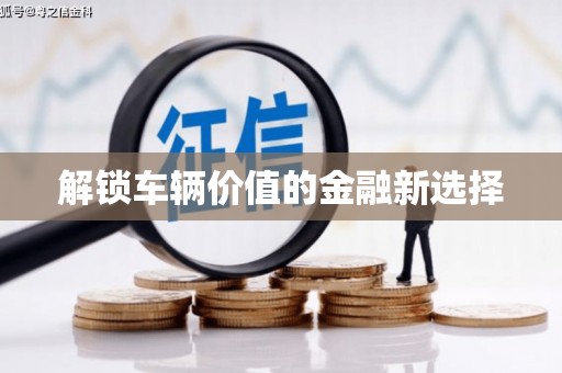 板芙解锁车辆价值的金融新选择