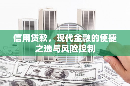 万柏林信用贷款，现代金融的便捷之选与风险控制