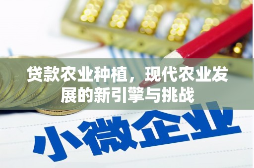 冈山贷款农业种植，现代农业发展的新引擎与挑战