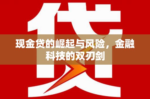 海盐现金贷的崛起与风险，金融科技的双刃剑