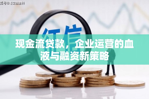 沧源现金流贷款，企业运营的血液与融资新策略
