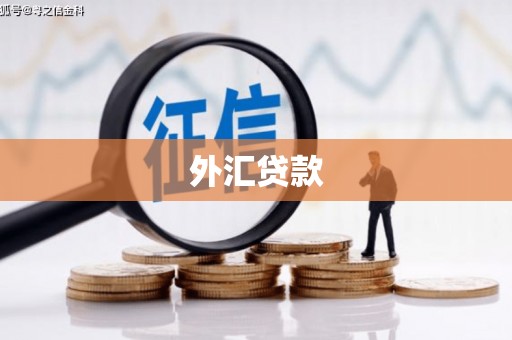 玉田外汇贷款