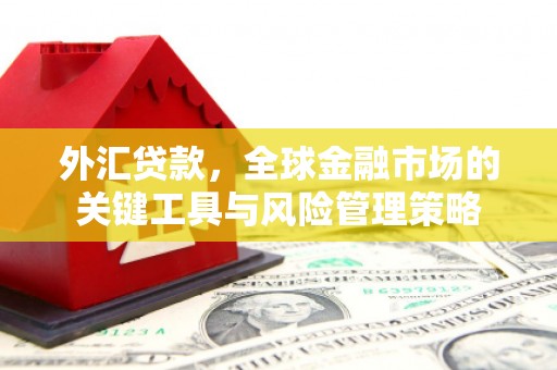 新晃外汇贷款，全球金融市场的关键工具与风险管理策略