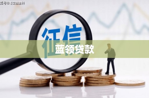 太保蓝领贷款