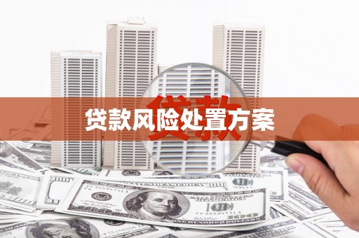 玄武贷款风险处置方案