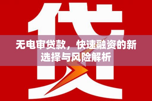 洪雅无电审贷款，快速融资的新选择与风险解析