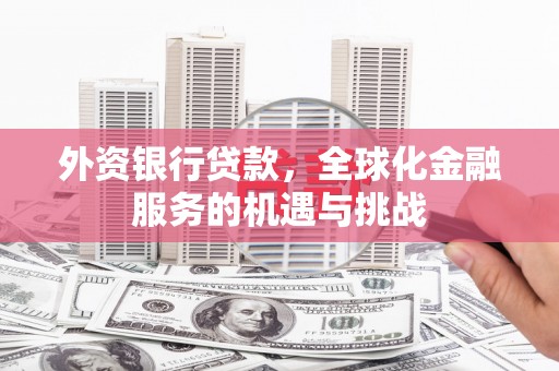 项城外资银行贷款，全球化金融服务的机遇与挑战