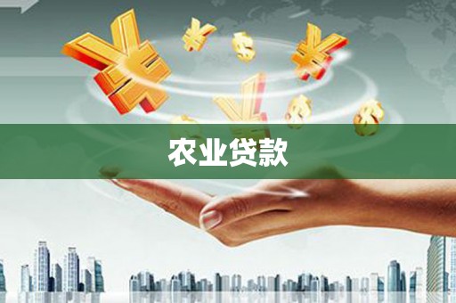 金湖农业贷款