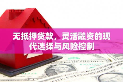 武江无抵押贷款，灵活融资的现代选择与风险控制