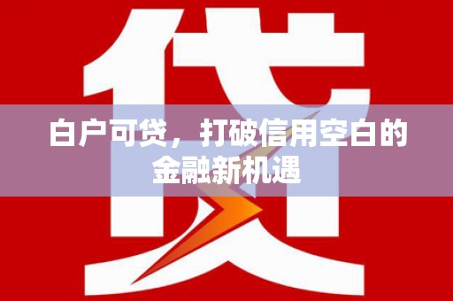 沈河白户可贷，打破信用空白的金融新机遇
