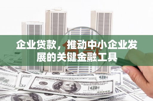 龙游企业贷款，推动中小企业发展的关键金融工具
