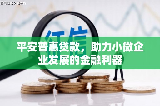布袋平安普惠贷款，助力小微企业发展的金融利器