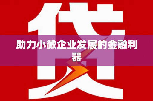 张家川助力小微企业发展的金融利器