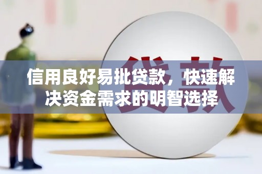 东营信用良好易批贷款，快速解决资金需求的明智选择