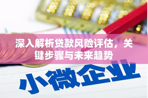 天元深入解析贷款风险评估，关键步骤与未来趋势
