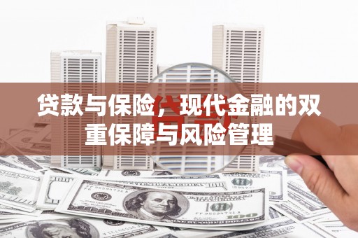 荷塘贷款与保险，现代金融的双重保障与风险管理