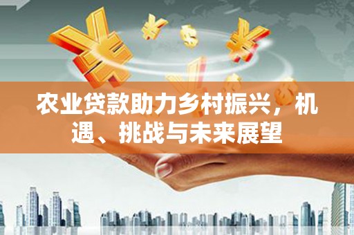 汉台农业贷款助力乡村振兴，机遇、挑战与未来展望