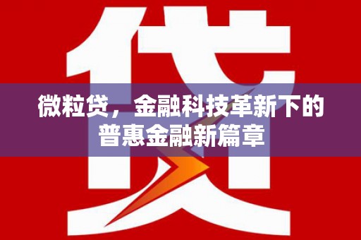 东西湖微粒贷，金融科技革新下的普惠金融新篇章