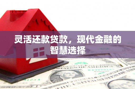 新埔灵活还款贷款，现代金融的智慧选择
