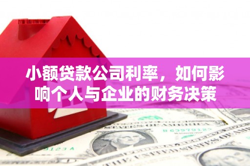 新河小额贷款公司利率，如何影响个人与企业的财务决策