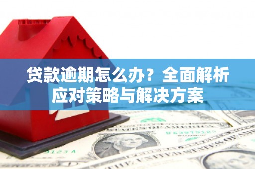 湟中贷款逾期怎么办？全面解析应对策略与解决方案