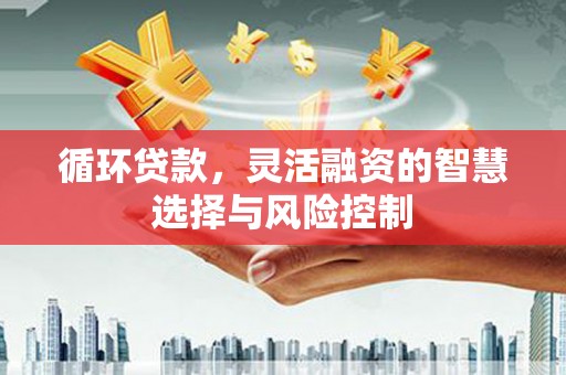 巴里坤循环贷款，灵活融资的智慧选择与风险控制