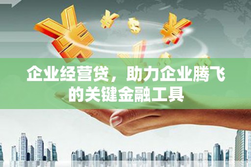 林园企业经营贷，助力企业腾飞的关键金融工具