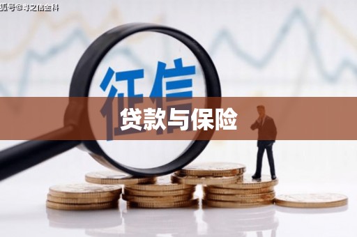 仁和贷款与保险