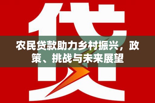赤坎农民贷款助力乡村振兴，政策、挑战与未来展望