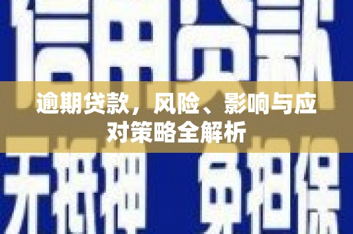 镇赉逾期贷款，风险、影响与应对策略全解析