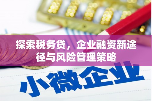 余杭探索税务贷，企业融资新途径与风险管理策略