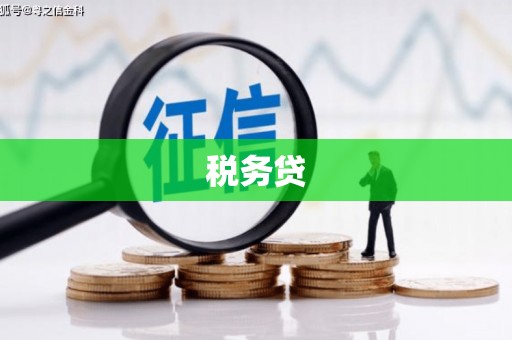 兴庆税务贷