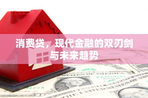 河曲消费贷，现代金融的双刃剑与未来趋势