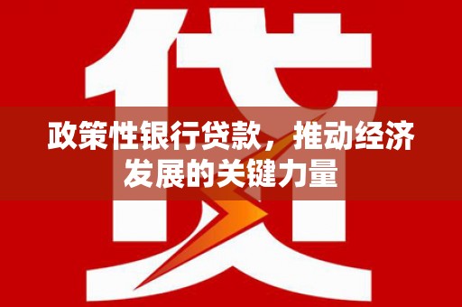 汝州政策性银行贷款，推动经济发展的关键力量